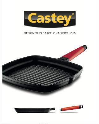 Castey pdf